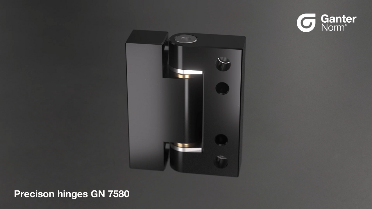 Precision Hinges GN 7580
