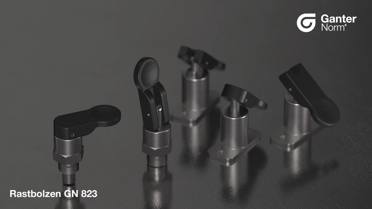 Rastbolzen GN 823