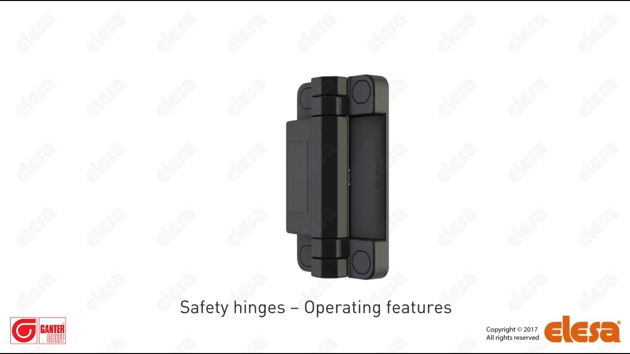 GN 239.6 Hinges with Safety Switch